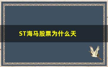 “ST海马股票为什么天天跌下